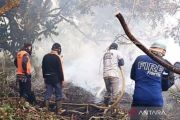 BNPB sebut 435 hektare lahan mineral terbakar di Kalbar