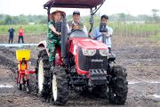 Dirut Bulog menegaskan mendukung penanaman jagung demi menjaga swasembada