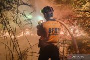 BNPB: Penyebab karhutla di Kaltara dalam penyelidikan