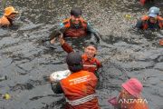 DKI catat 6,98 ton ikan sapu-sapu ditangkap dari operasi lima wilayah
