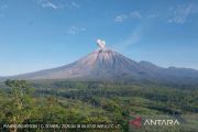 Gunung Semeru erupsi dengan abu vulkanik ke arah barat daya