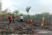 Tigadaerah di Sumsel tetapkan siaga karhutla menjelang musim kemarau