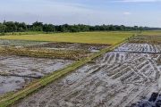 Dinas Pertanian Semarang optimalkan alsintan jelang kemarau