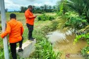 BNPB: Petugas masih pantau dampak banjir di Luwu Timur