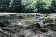 Geosite Dumaring jadi percontohan nasional pelestarian karst purba