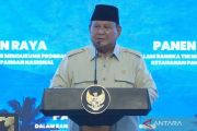 Prabowo targets up to 50 ethanol plants to support E20 fuel program