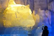 Over 20 International Mainstream Media Outlets Explore Innovation and Vitality in Harbin