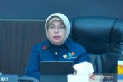 BPS: Penurunan IPH terjadi di 21 provinsi pada awal Agustus 2026