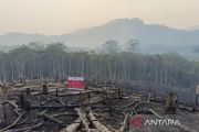 Kemenhut beri sanksi enam perusahaan di Kalimantan terkait karhutla