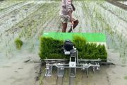Optimalisasi lahan tingkatkan pola tanam sawah di Kaltim