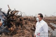 Wamen LH dukung praktik baik kolaborasi tangani karhutla di Jambi