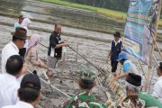 Sleman tingkatkan produktivitas padi lewat teknologi PM AAS