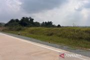 BKSDA Kaltim telusuri jejak orangutan di jalan raya Bengalon Kutim