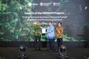 Indonesia, FAO launch MERANTI project to modernize forest monitoring