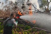 Indonesia says it adheres to ASEAN protocols amid transboundary haze
