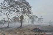 Dishut Maluku perkuat peran masyarakat sekitar hutan cegah Karhutla