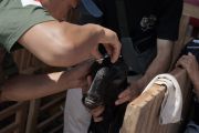 Ratusan kambing meriahkan Piala Raja 2026 di Kulon Progo