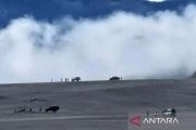 Mount Bromo to reopen to tourists after fireextinguished