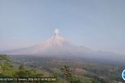 Gunung Semeru erupsi dengan tinggi letusan 1.300 meter