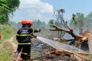 Pemkot Pangkalpinang gelar rakor bentuk satgas cegah karhutla