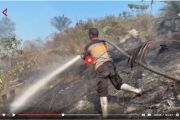 Pemerintah terus berupaya padamkan karhutla di 6 provinsi prioritas - VIDEO