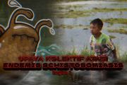 Upaya kolektif atasi endemis schistosomiasis (bagian 1)