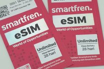 Panduan Menggunakan eSIM untuk Perjalanan Luar Negeri, Ini Langkah yang Perlu Diperhatikan
