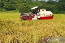 Harga bahan pokok di Boyolali terjaga stabil selama Lebaran