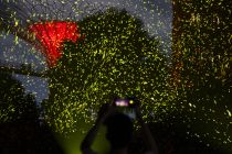 Pertunjukan cahaya untuk sambut perayaan Hari Nasional di Singapura