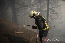 Kebakaran hutan di Prancis meluas, lalap 16.000 hektare lahan