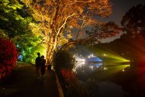 Album Asia: Menilik semarak pertunjukan cahaya di Singapura