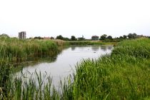 Inggris klaim kekeringan yang dialami sebagai insiden nasional