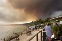 Karhutla dahsyat picu evakuasi massal di resor wisata Tarifa Spanyol