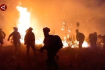 Kebakaran hutan meluas di Spanyol, 46.000 Hektare lahan hangus