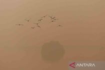 Polusi udara di New Delhi dan Karachi