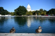 Dua petinggi BBC mundur terkait penyuntingan film dokumenter Trump