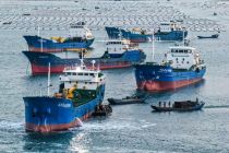 China bangun tambak laut untuk perkaya \"lumbung pangan biru\"