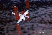 Tikus eksperimen melahirkan setelah kembali dari luar angkasa