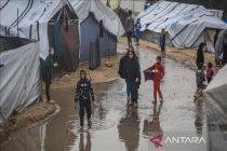 WHO: Lebih dari 1.000 pasien di Gaza meninggal saat menunggu evakuasi