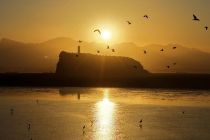 Danau air tawar terbesar di China surut hingga 90 persen