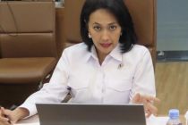 Wamen P2MI tegaskan komitmen Presiden tangani bencana banjir, longsor