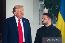 Zelenskyy: belum ada kesepakatan soal wilayah dalam rencana damai AS