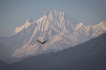 Nepal akan batasi jumlah pendaki di tengah masalah sampah pegunungan