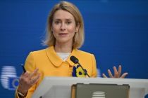 Uni Eropa dukung Denmark dan Greenland terkait utusan khusus AS