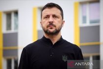 Zelenskyy sebut sedang bahas gagasan baru perdamaian Ukraina dengan AS