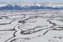 Pakar minta dunia serius menyikapi ancaman Trump soal Greenland