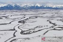 Trump dikabarkan minta rencana invasi ke Greenland