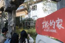 Menengok penampilan publik lima panda raksasa di Panda World Fuzhou