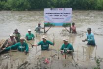 IFG Lakukan Penanaman 5.000 Bibit Mangrove di Muara Beting Bekasi, Pemulihan Kerusakan Lingkungan dan Pengembangan Ekowisata