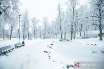 Pemandangan taman yang membeku di Latvia